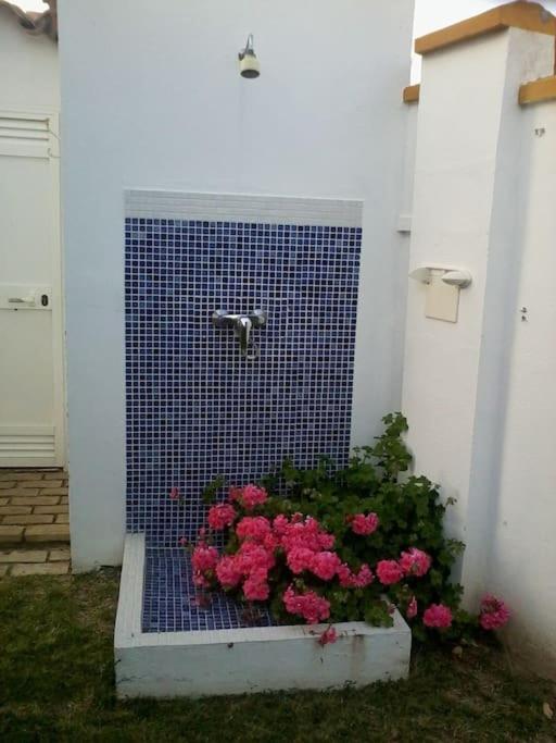 El Magnolio Villa Chiclana de la Frontera Bagian luar foto