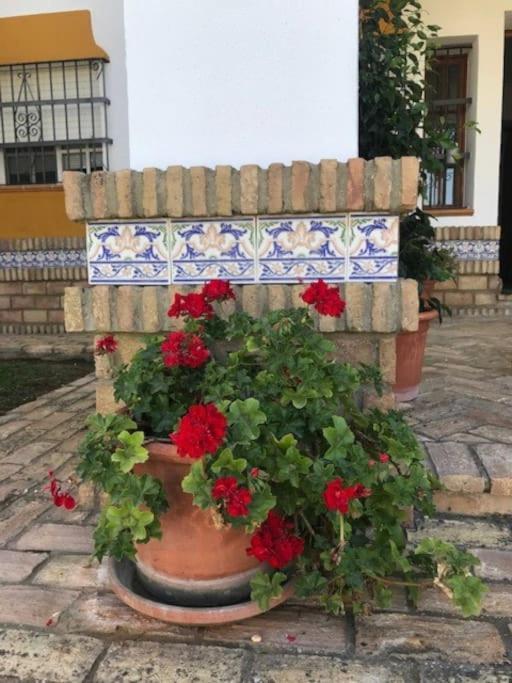 El Magnolio Villa Chiclana de la Frontera Bagian luar foto